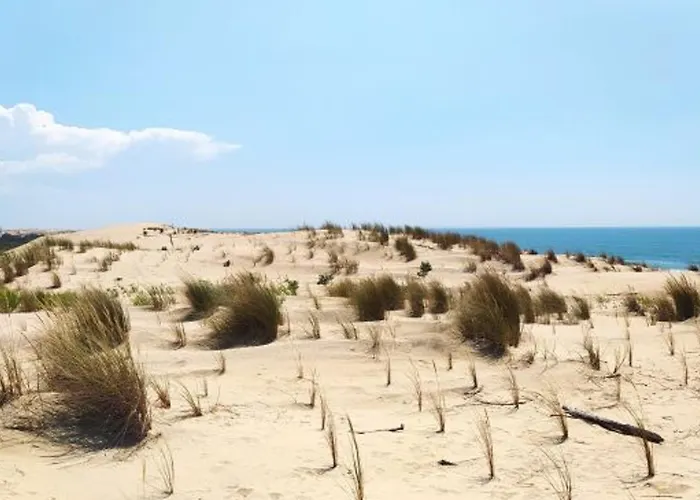 Belle Moderne 3 - Proche - Jardin Et Parking - Fr-1-705-30